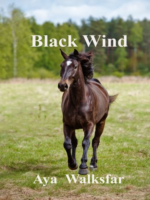 cover image of Black Wind